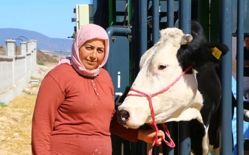 Antalyalı hayvan üreticisine belediyeden destek