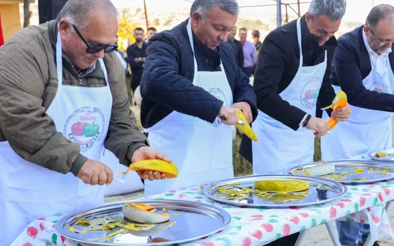 Bilecik’te Kızıldamlar Kestane Kabağı Festivali yapıldı