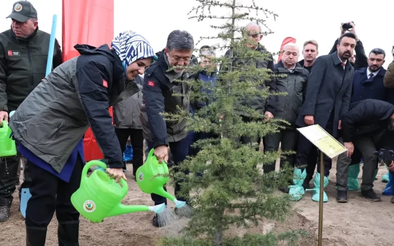 Geleceğe nefes fidanlar ‘Gazze Hatıra Ormanı’nı yeşertecek