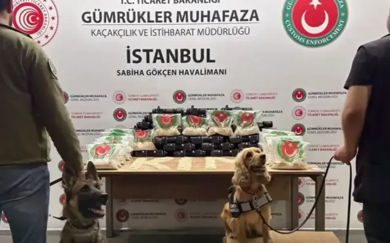 Gümrük Muhafaza’dan zehir tacirlerine geçit yok!