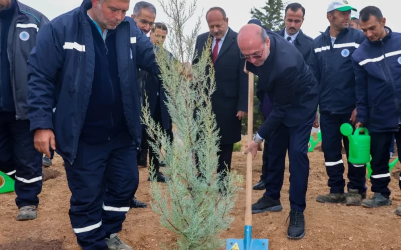 Konya Sille’de fidanlar toprakla buluştu