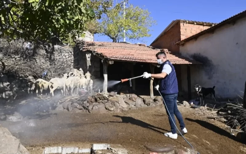 Manisa’da mavi dil hastalığıyla mücadele kapsamında 111 mahalle ilaçlandı