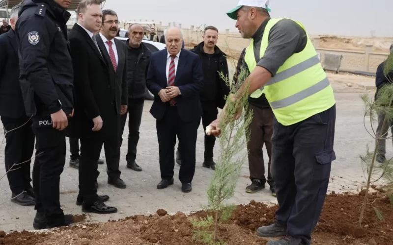 Mardin Yeşilli 2.ci OSB’de binlerce ağaç toprakla buluştu